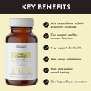 zinc-complex-highly-absorbable-supplemen-3.jpg