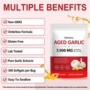 daiasns-odorless-aged-garlic-extract-500-5.jpg