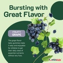 iron-supplement-for-kids-5-mg-kids-gummi-4.jpg