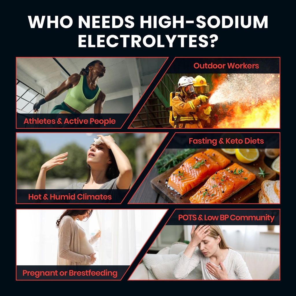 venture-pal-high-sodium-sugar-free-elect-4.jpg