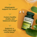 banyan-botanicals-organic-ashwagandha-10-2.jpg