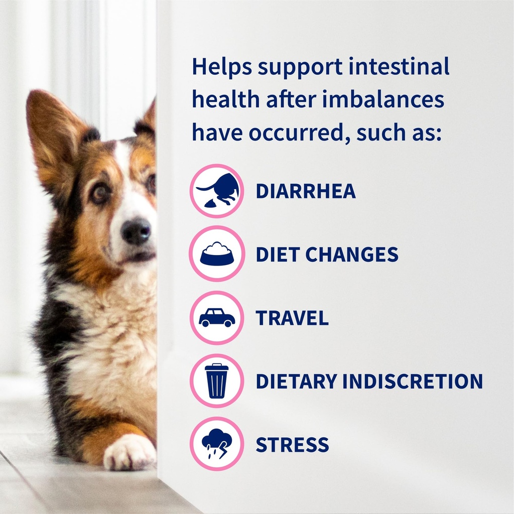 nutramax-proviable-probiotics-for-dogs-d-5.jpg