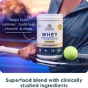 ancient-nutrition-grass-fed-whey-protein-3.jpg