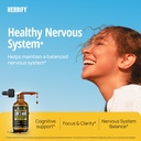 herbify-lions-mane-supplement-daily-mush-3.jpg