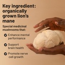vegan-vitality-lions-mane-supplement-cap-4.jpg