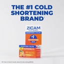 zicam-zinc-cold-remedy-rapidmelts-citrus-5.jpg