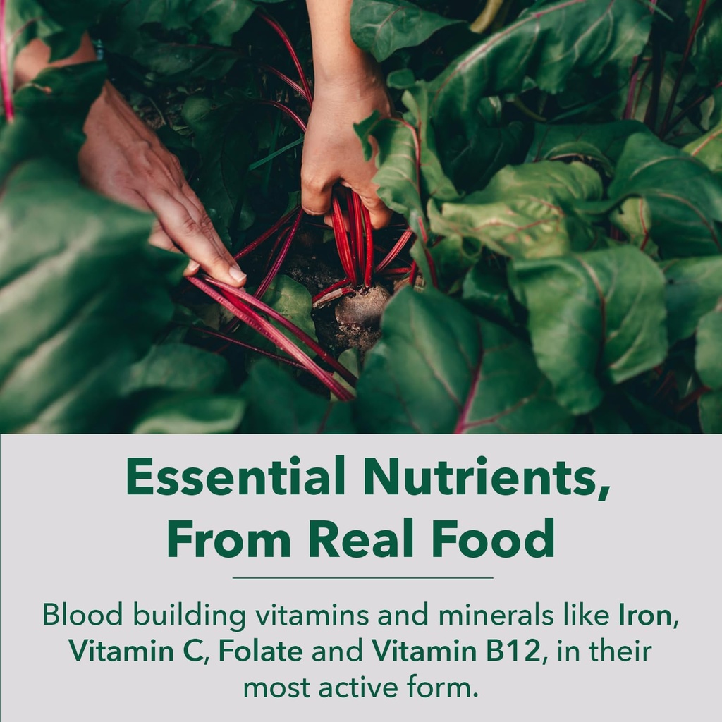 plantfusion-vegan-iron-supplement-for-wo-3.jpg