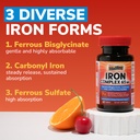 iron-supplement-3-in-1-65mg-iron-complex-6.jpg