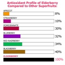 eco-taste-elderberry-capsules-with-zinc--5.jpg