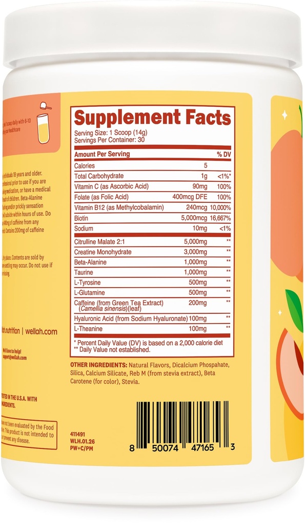 wellah-pre-workout-creatine-powder-30-se-4.jpg