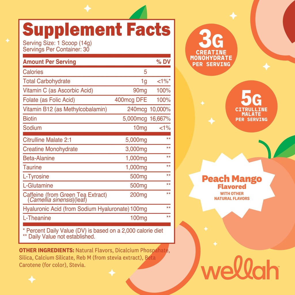 wellah-pre-workout-creatine-powder-30-se-2.jpg