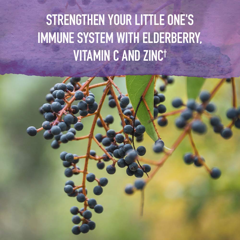 garden-of-life-organics-elderberry-immun-4.jpg