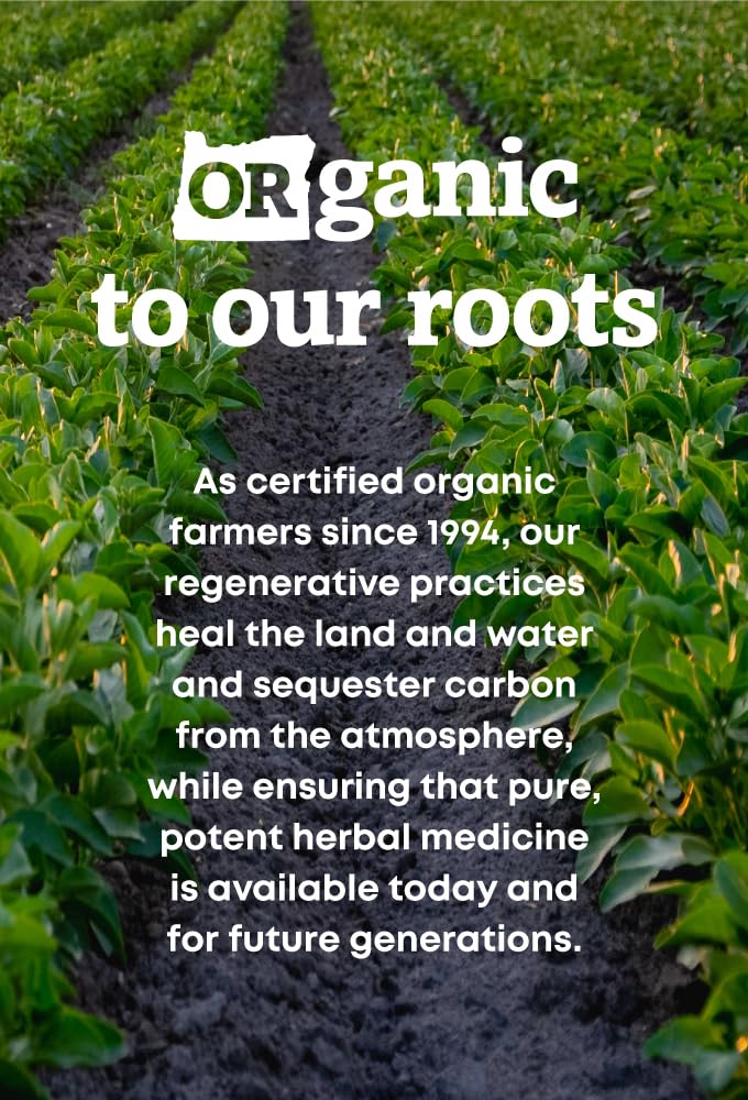 oregon-s-wild-harvest-cranberry-herbal-s-4.jpg
