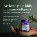 new-chapter-elderberry-gummies-for-kids--3.jpg