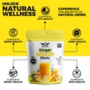 ginger-turmeric-wellness-shots-100-servi-4.jpg