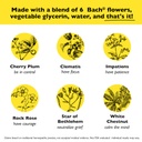 bach-rescue-sleep-kids-dropper-10ml-natu-5.jpg