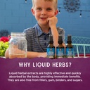 wishgarden-herbs-kick-it-cough-for-kids--5.jpg