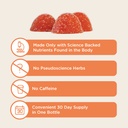 brainiac-kids-daily-brainpack-gummies-su-3.jpg