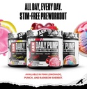 arms-race-nutrition-arn-daily-pump-stim--6.jpg