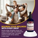 wellnessone-ionic-phosphorus-supplements-6.jpg
