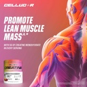 cellucor-creatine-powder-fruit-punch-fla-5.jpg