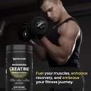 upnourish-micronized-creatine-monohydrat-6.jpg