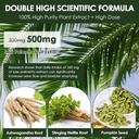 totaria-organic-saw-palmetto-with-pumpki-4.jpg