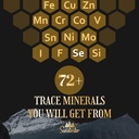 trace-minerals-electrolytes-drops-2000-m-6.jpg