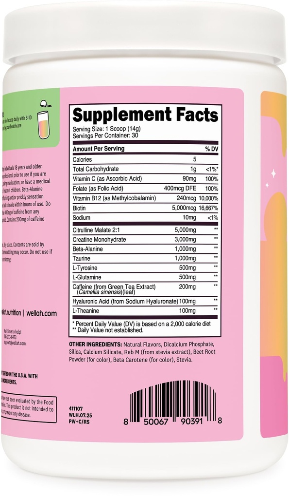 wellah-pre-workout-creatine-powder-30-se-4.jpg