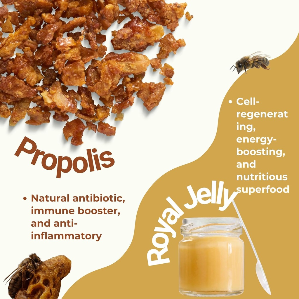 immune-system-support-supplement---natur-3.jpg