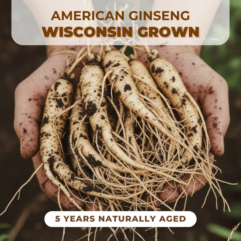5-year-american-ginseng-slices-hand-sele-3.jpg