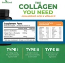 forestleaf-collagen-supplements-bundle---2.jpg