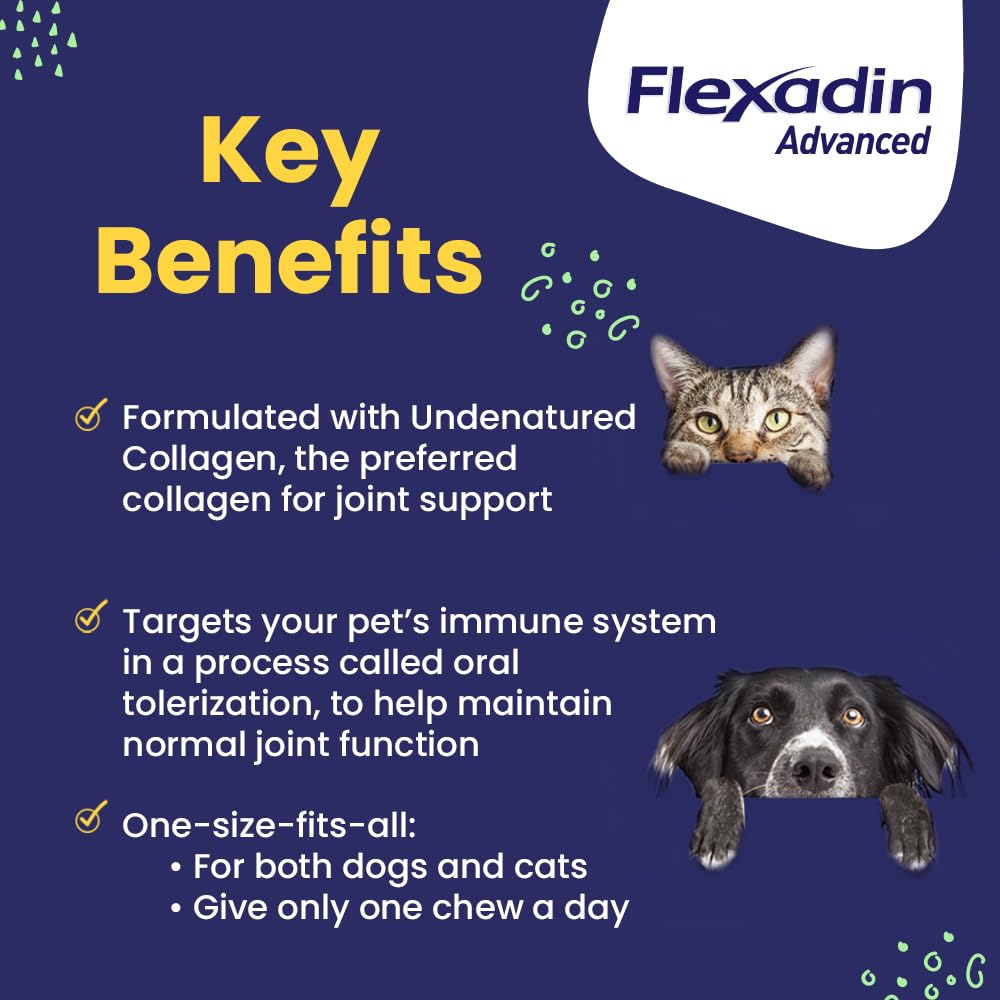 vetoquinol-flexadin-advanced-dog-hip-and-2.jpg