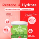 sugar-free-electrolyte-powder-drink-mix--4.jpg