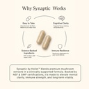 synaptic-lion-s-mane-mushroom-supplement-6.jpg