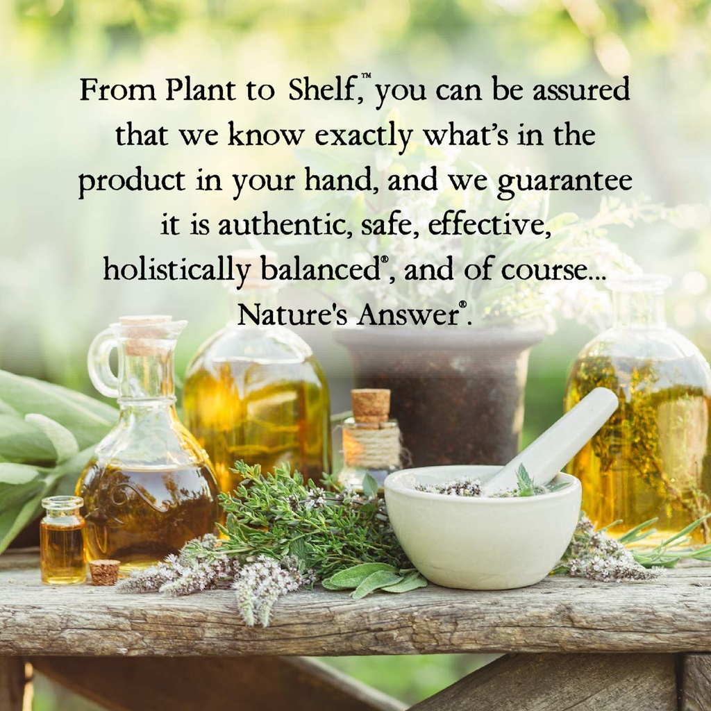 nature-s-answer-ginger-root-alcohol-free-6.jpg