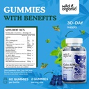 wild-organic-calm-mood-gummies---mood-su-3.jpg