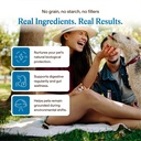 real-mushrooms-whole-dog-health-function-4.jpg