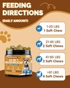 mushrooms-for-dogs-turkey-tail-mushroom--5.jpg