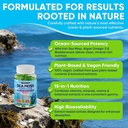 sea-moss-gummies-algae-omega-3-for-men-w-5.jpg