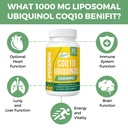 1000mg-liposomal-coq10-softgels-better-a-4.jpg