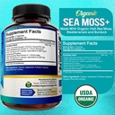 nutriflair-organic-sea-moss-1600mg-120-c-2.jpg
