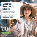 hyperbiotics-vital-nutrients-ibs-probiot-6.jpg