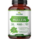 Zazzee Extra Siła Mullein 10: 1 Ekstrakt, 3000 mg Wytrzymałość, 120 Kapsułki wegańskie, 4 Miesiąc dostaw, Standaryzowane 10X Extract, 100% Czysty Proszek Leaf, All- Naturalny i Non-GMO, Made in USA