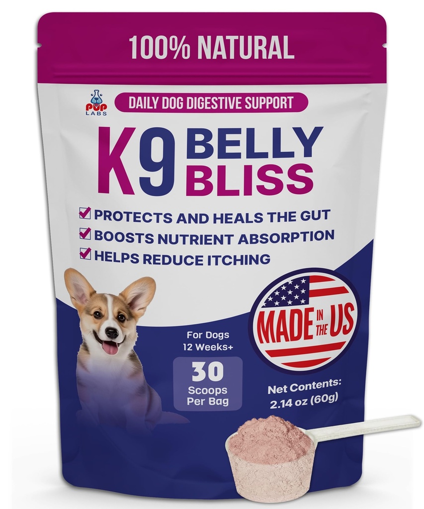 K9 Błysk brzucha, All- Natural Gut Health for Dogs, Vet Zatwierdzony prebiotyk dla psów do codziennego wsparcia trawiennego i psów zaparcia Relief, Łatwy w użyciu Topper dla suchej i mokrej żywności, 30 Scoops.