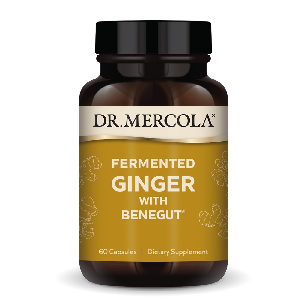 Dr Mercola fermentowany imbir z Benegut - Wsparcie Digestive & Gut Health - Pomoc Sporadyczne Gaz, Bloating & Discomfort - Non-GMO, Gluten- Free & Soy- 60 Kapsułki (60 Servings)