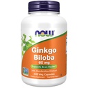 Teraz Foods Supplements, Ginkgo Biloba 60 mg, 24% Standaryzowany ekstrakt, Nie-GMO Projekt zweryfikowany, 240 Kapsułki Veg