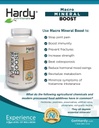 Makro Mineral Boost - Wysoka Intensywność Suplement wapnia dla zdrowia kości i zębów z witaminą C, D, K, wapniem, fosforanem i magnezem, Ultra Absorbable