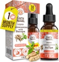 GuruNanda Liquid Ashwagandha z Bacopa (1 Fl Oz) - Naturalny suplement dietetyczny - Płynne krople ekstrakcyjne - dla mężczyzn i kobiet - Wegan & Alkohol - Pomoc w immunologii, Focus & Relaxation Support