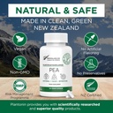 Palmitoyletanolamid Pea Supplement 600mg - Mikronizowane suplementy Pea 99% - 2 miesiące dostaw - Zaawansowane wsparcie naturalne dla Joint Comfort